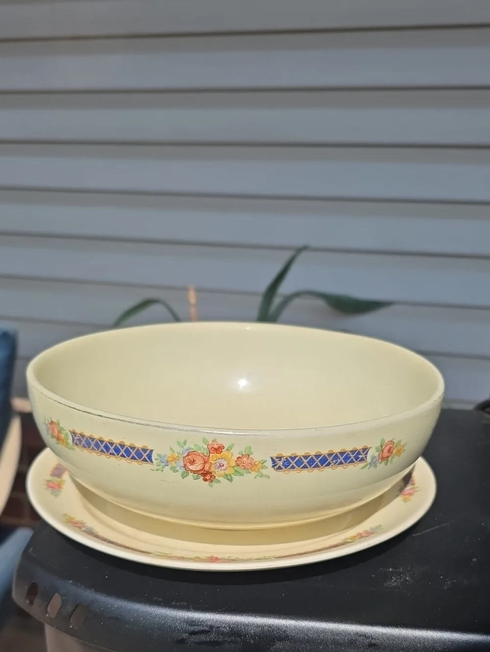 Cream Floral Ceramic Serving Bowl with Matching Plate 1940s -1960s